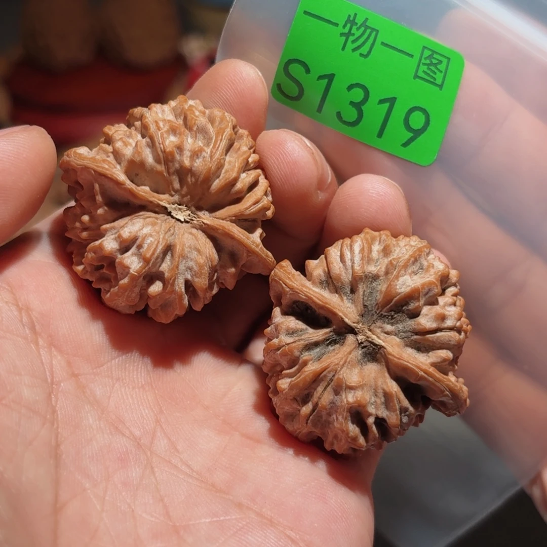 文玩核桃把件红珊瑚