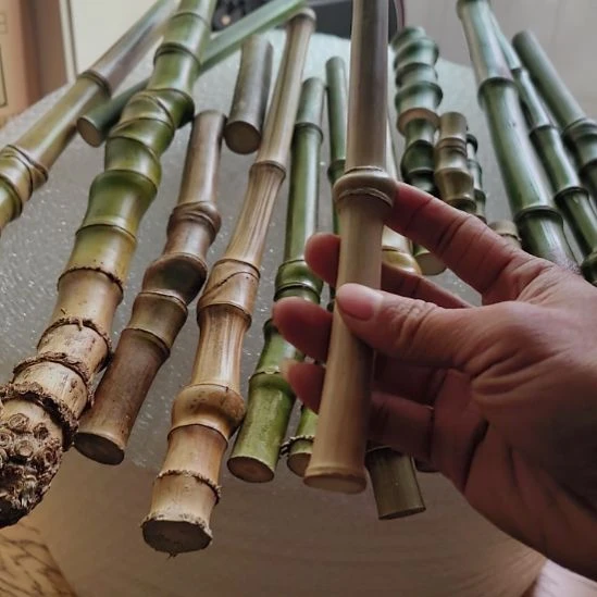 小***多是是是是是是是是是的