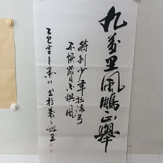 书法墨川老师书法作品