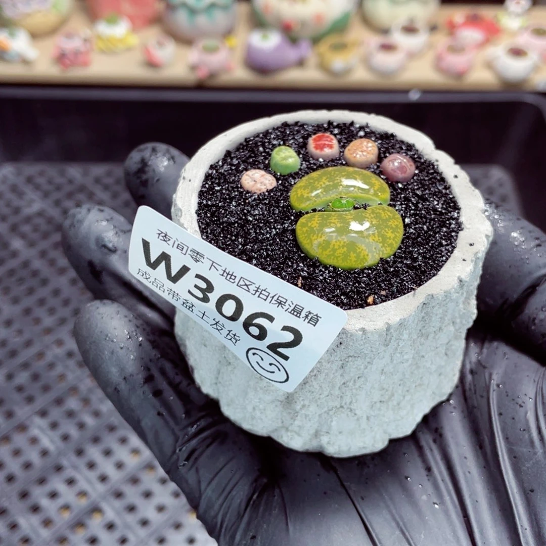 夜间零下地区拍保温箱w3062