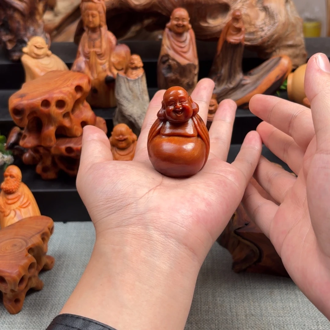 光***哥柏木（崖柏）太行崖柏