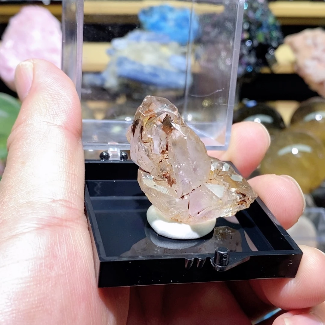 摆件摆件摆件摆件摆件摆件