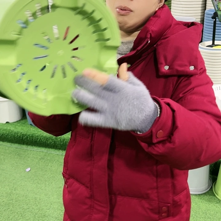 特价5号四季口29高24果绿色无托5只