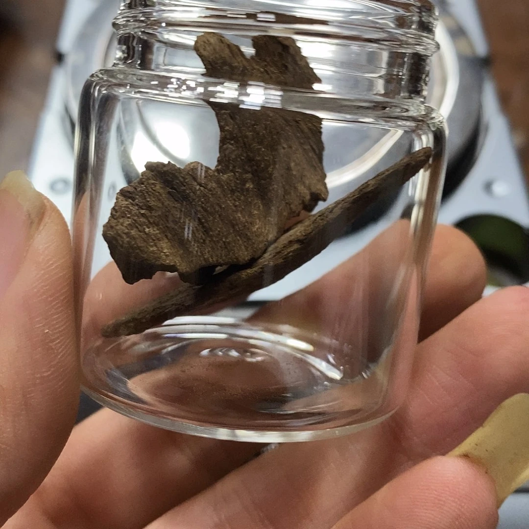 气***象富森红土2块小精品（010101加1700预备金