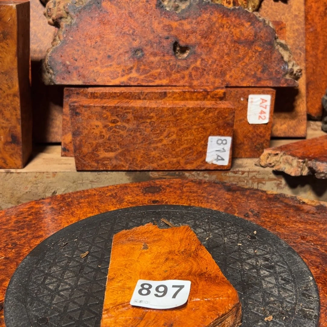 大果紫檀（缅甸花梨）