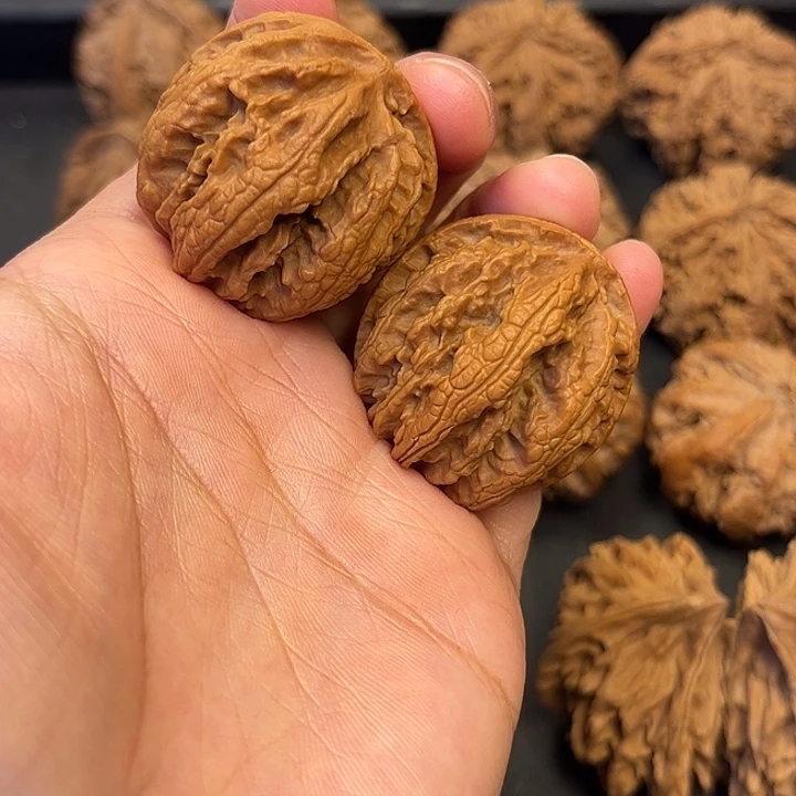 核桃秦岭突突突突突突11