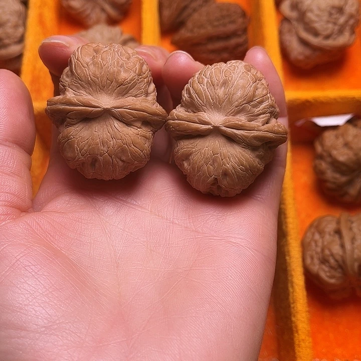 核桃涞水山地果元宝全品42尺