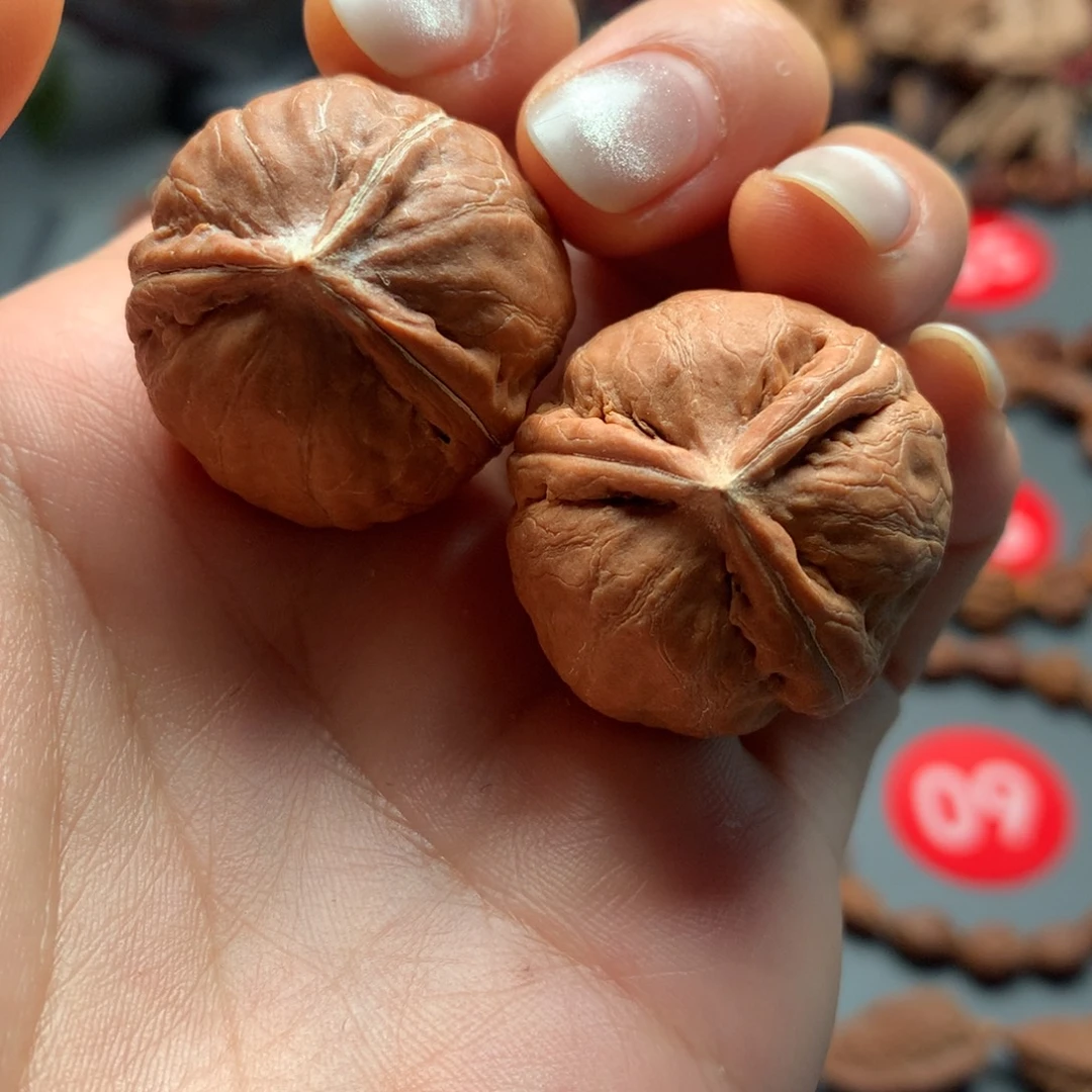 核桃79东北三棱30-28