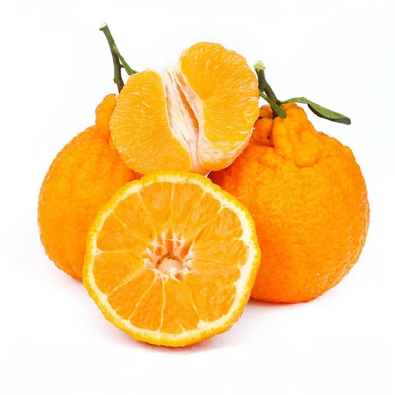【四川不知火】丑橘约1kg  新鲜丑八怪水果手剥丑柑耙耙柑孕妇水果四川省