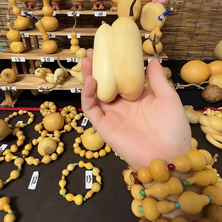 木**生谢谢谢谢谢谢谢谢谢谢谢谢