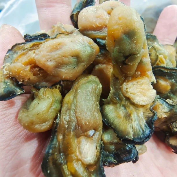 【马鲛仔海产】180-200头蚝豉干金蚝干250/500g广东茂名博贺港海海味干货海鲜