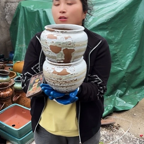 15口15高瑕疵一个盆子。