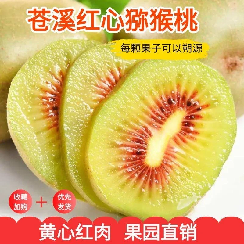 四川苍溪红心猕猴桃新鲜当季大果孕妇水果奇异果超甜多汁