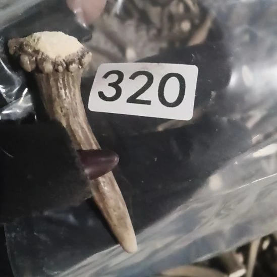 熊****鹿角鹿角鹿角鹿角鹿角鹿角