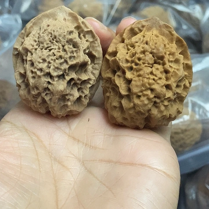 文玩核桃把件云南铁核桃基地41