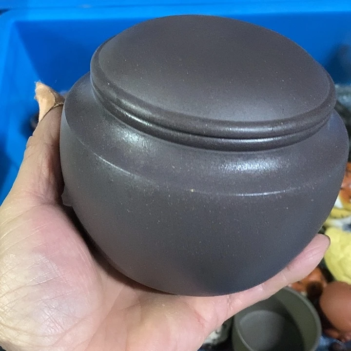 紫砂紫砂紫砂紫砂紫砂