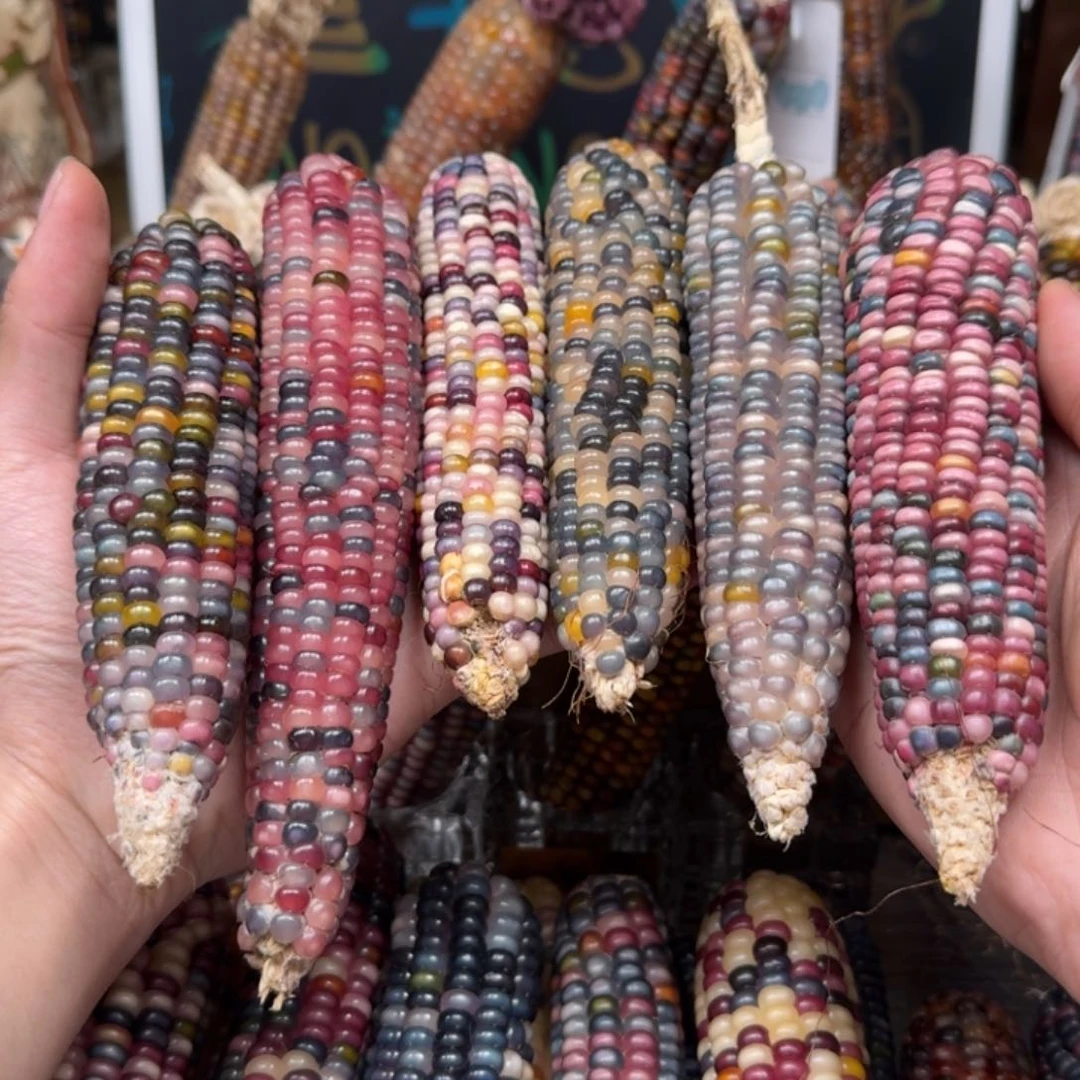 柏香籽/百香籽吊坠?*合