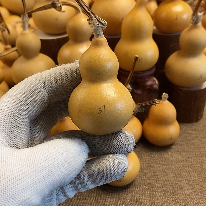 文玩葫芦 完美主义者 慎拍37