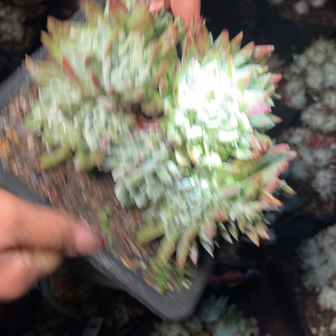 512哈哈哈哈哈哈哈哈