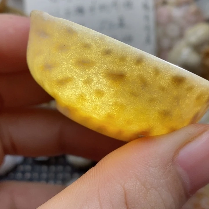 颈饰未镶嵌硅化珊瑚（珊瑚玉）有瑕