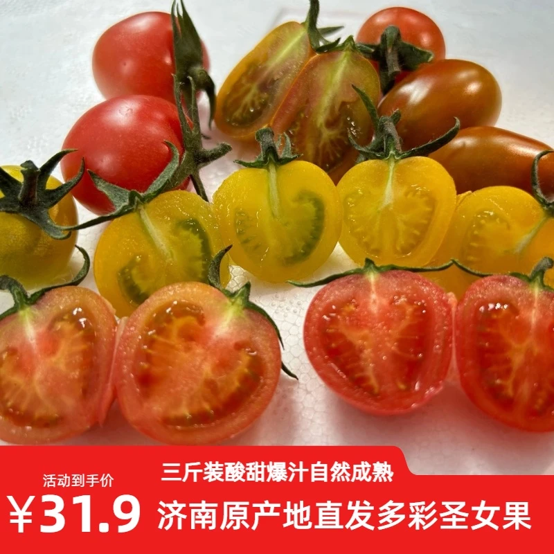 【顺丰包邮】新鲜现摘多彩混装圣女果3斤装酸甜爆汁