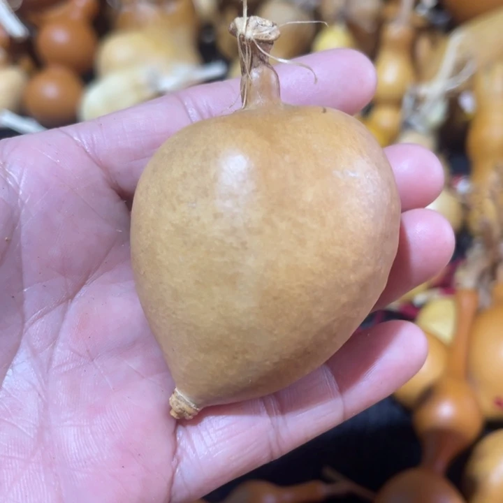 滨***哥葫芦葫哈哈哈哈哈哈