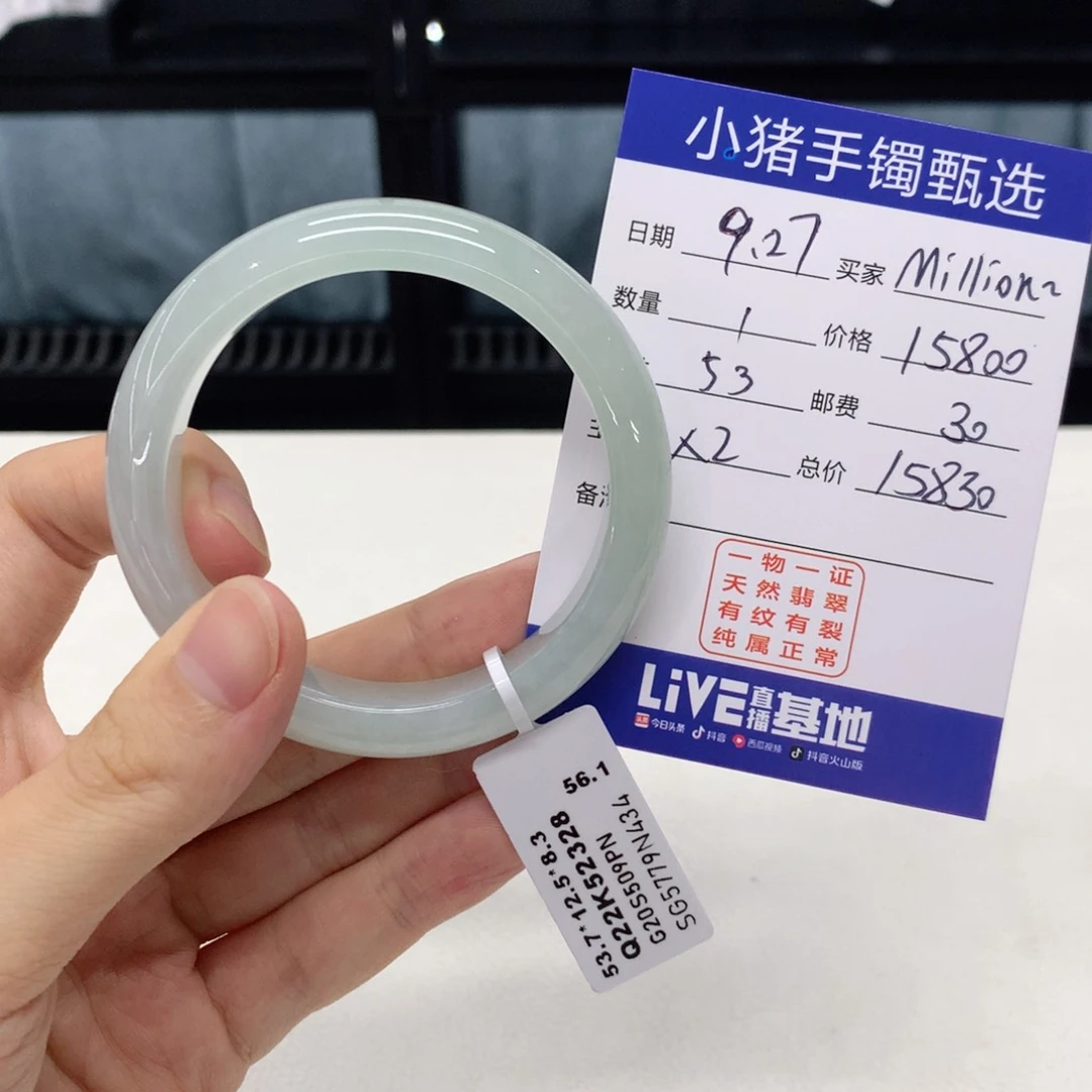 未镶嵌手镯翡翠?****a