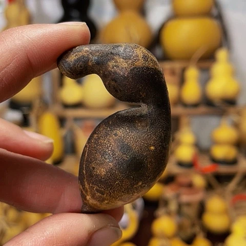 精品厚皮小蚂蚁葫芦