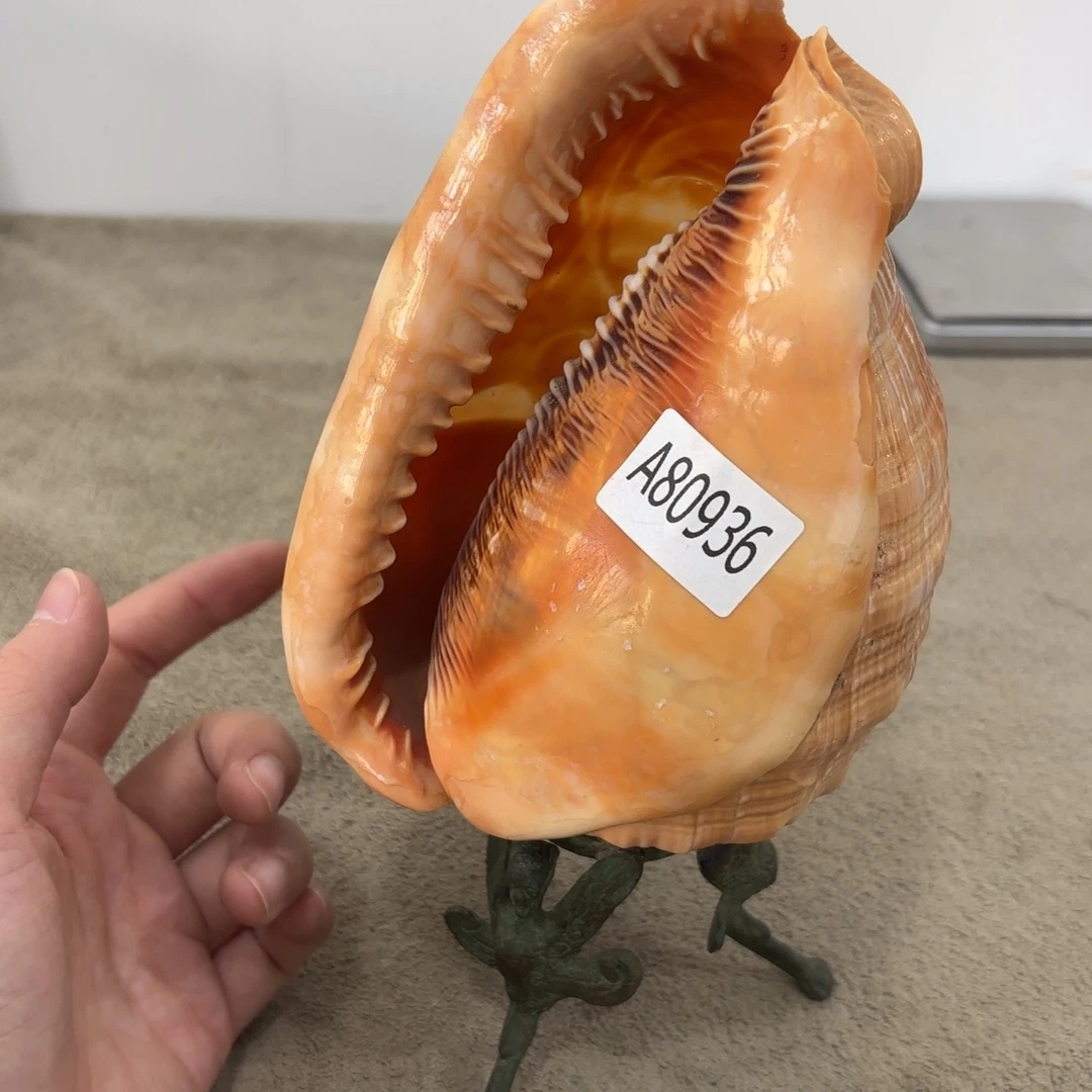 瓷片非常好看漂亮的物品