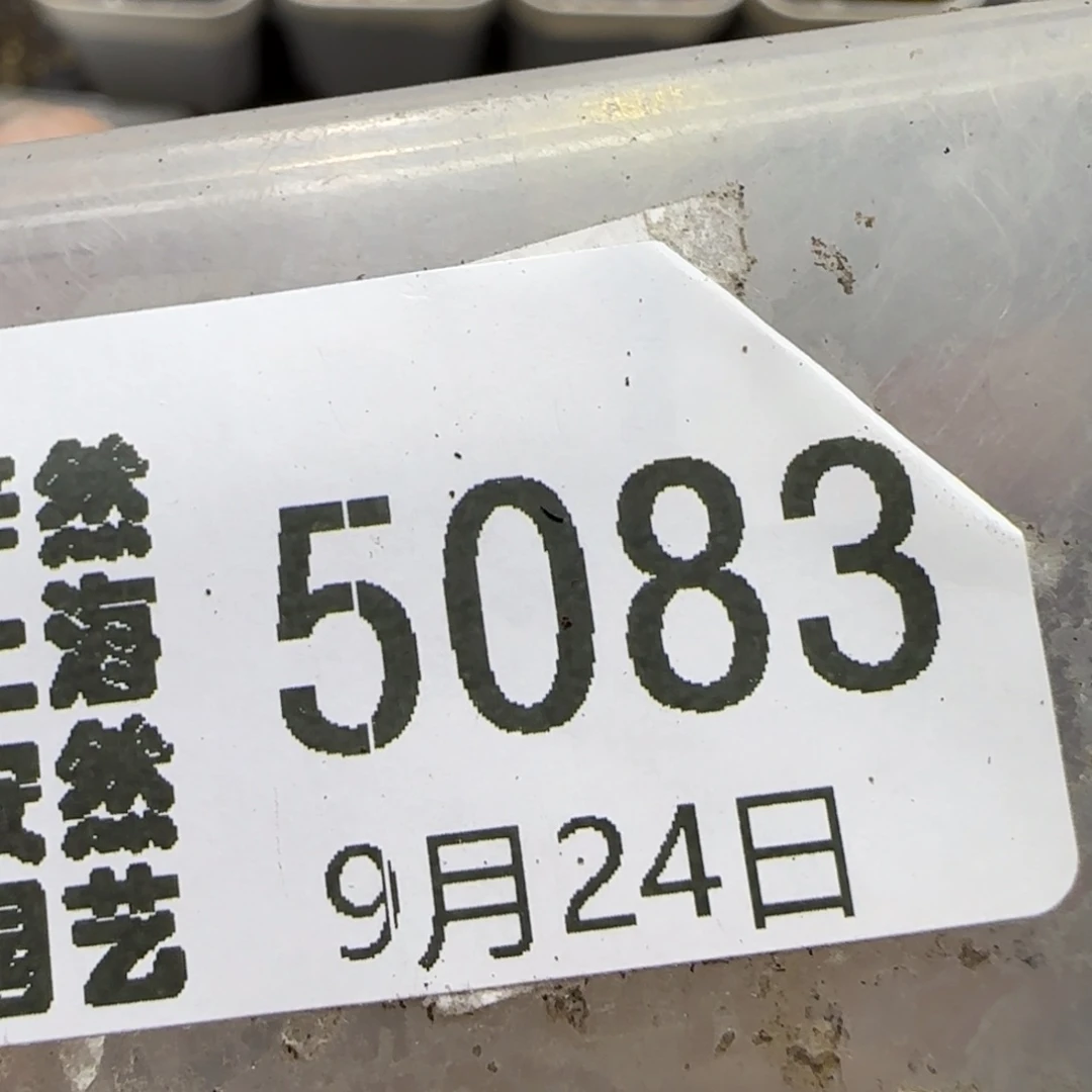 初***媚9.24。c63和122饼干。5083