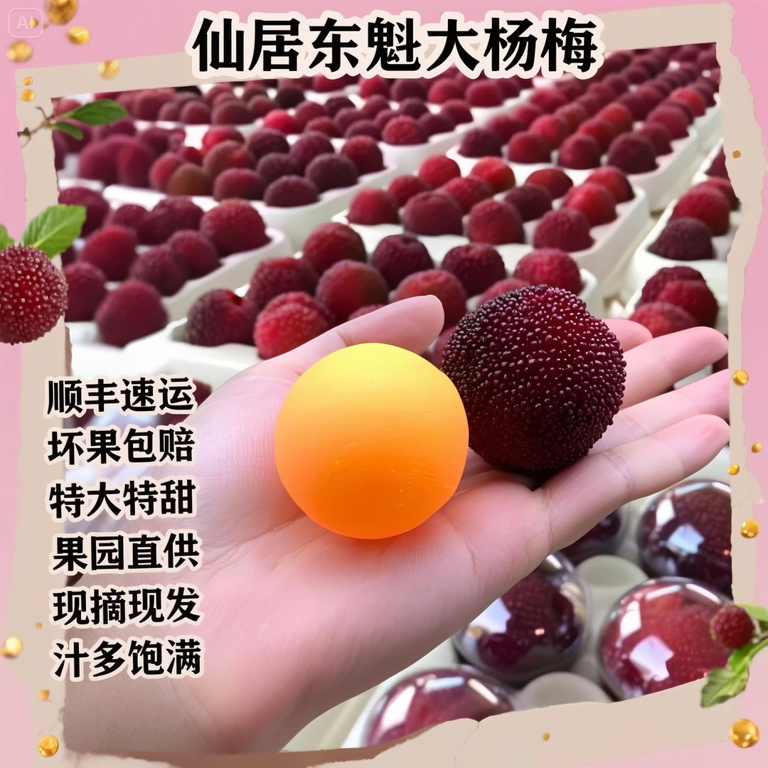 正宗仙居东魁大杨梅新鲜现摘现发应季时令水果顺丰空运颗粒礼盒装