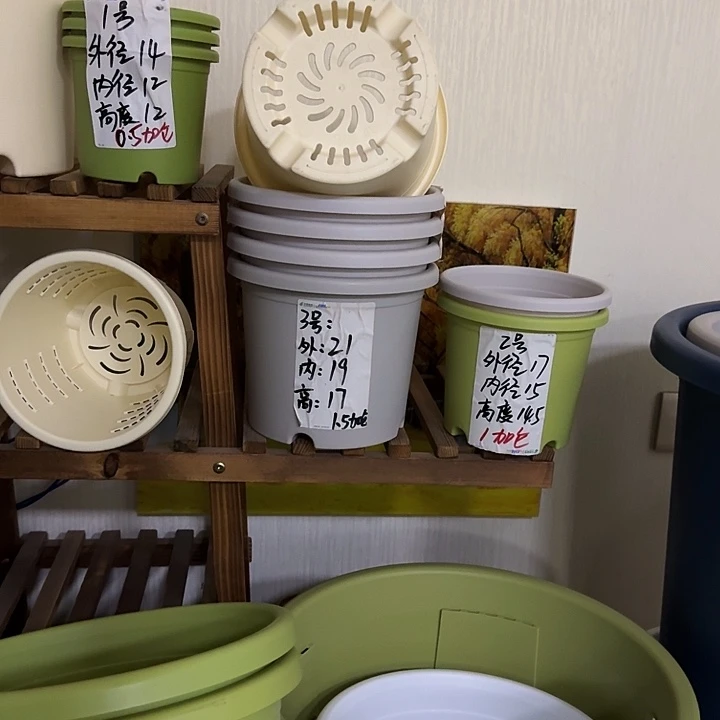 墨绿色果绿色白色3号无托20个