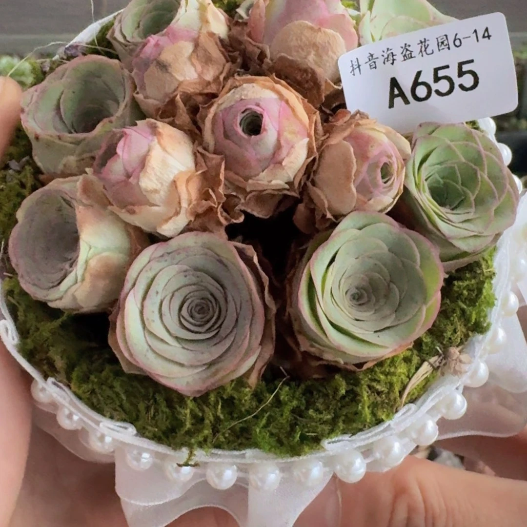 A655 苔藓花篮玫瑰组合