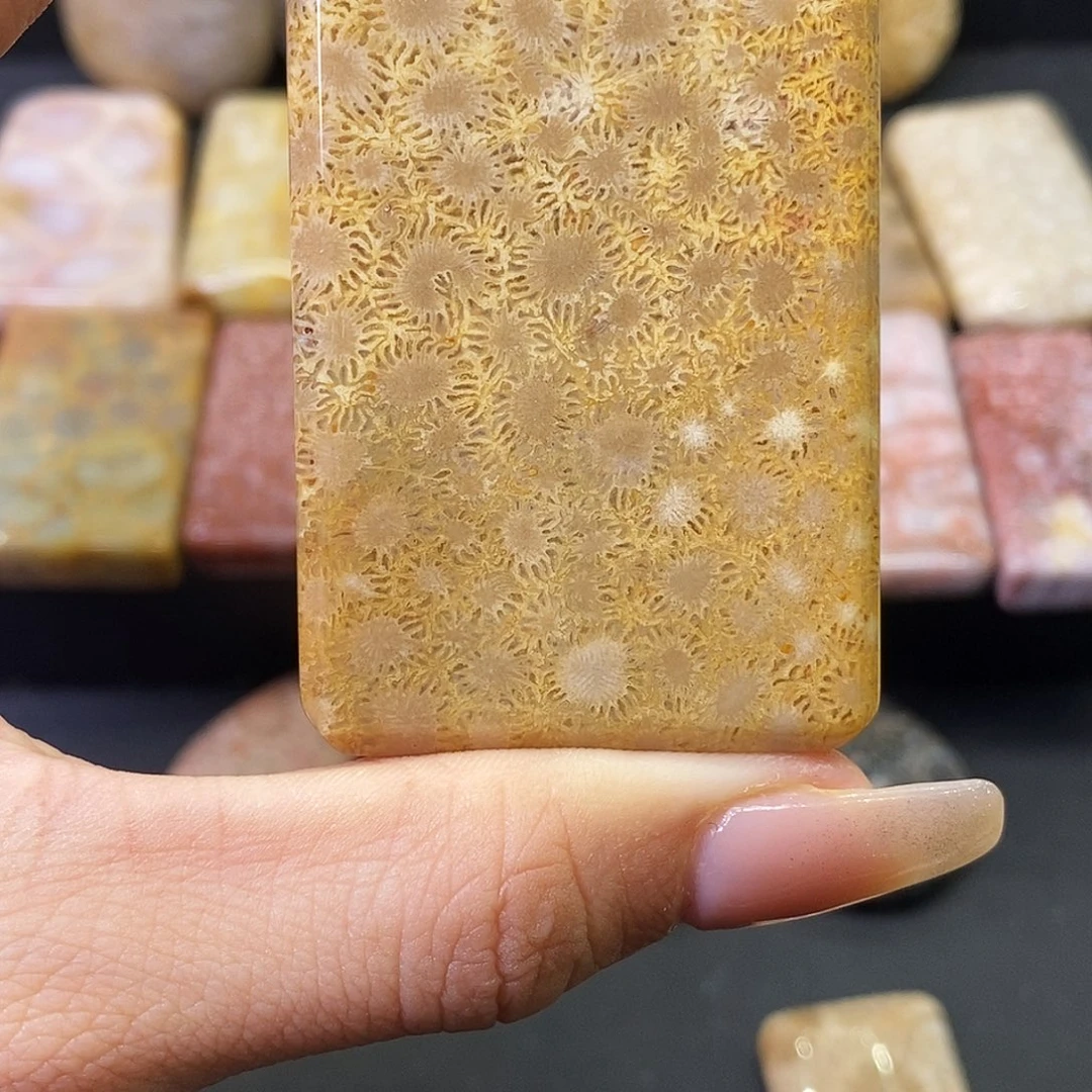 硅化玉颈饰合金A****王