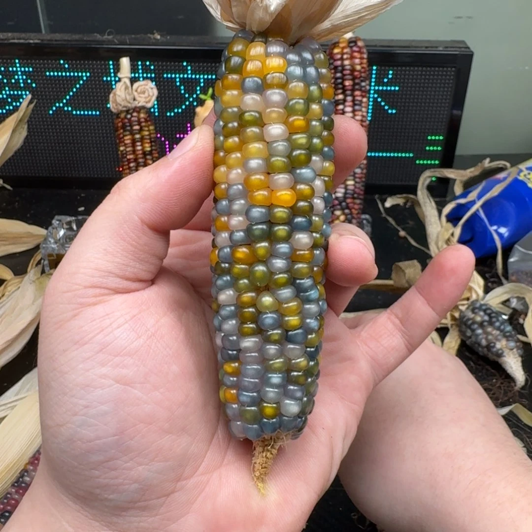 柏香籽/百香籽吊坠東*～