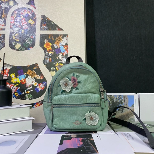 90新 COACH/蔻驰 19768双肩包18*21