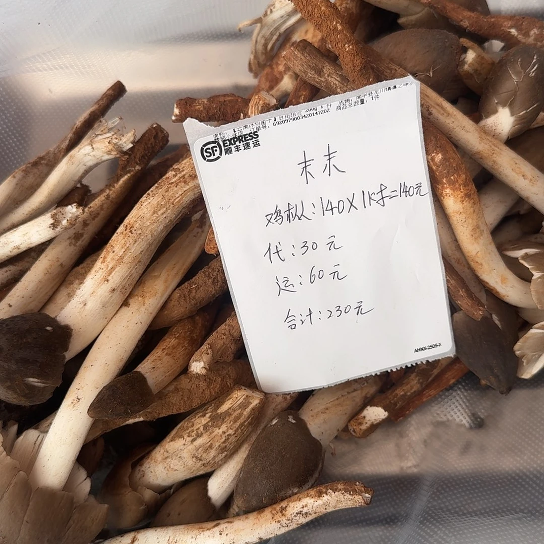 末***末菌子中国大陆菌子
