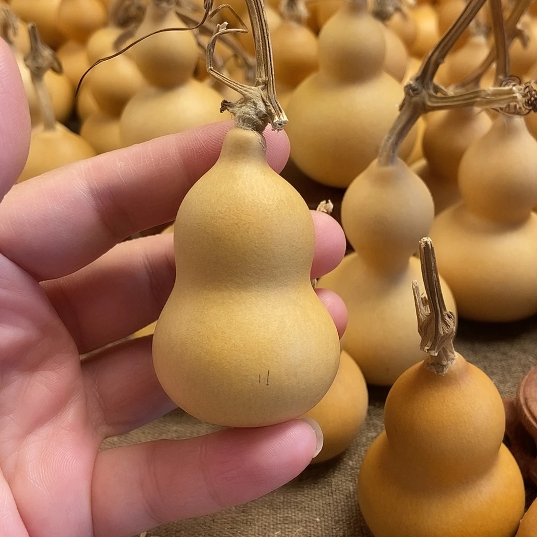 文玩葫芦 完美主义者 慎拍11