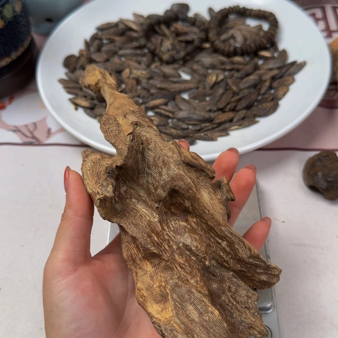 日***月楠木莞香树根77 g