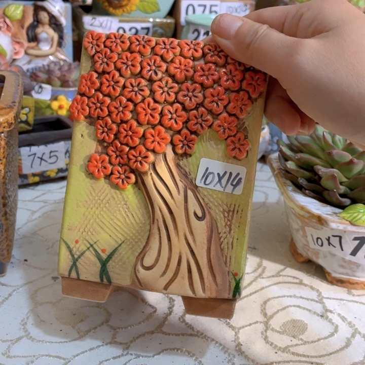 多肉花盆满15包邮，爱退款拉黑