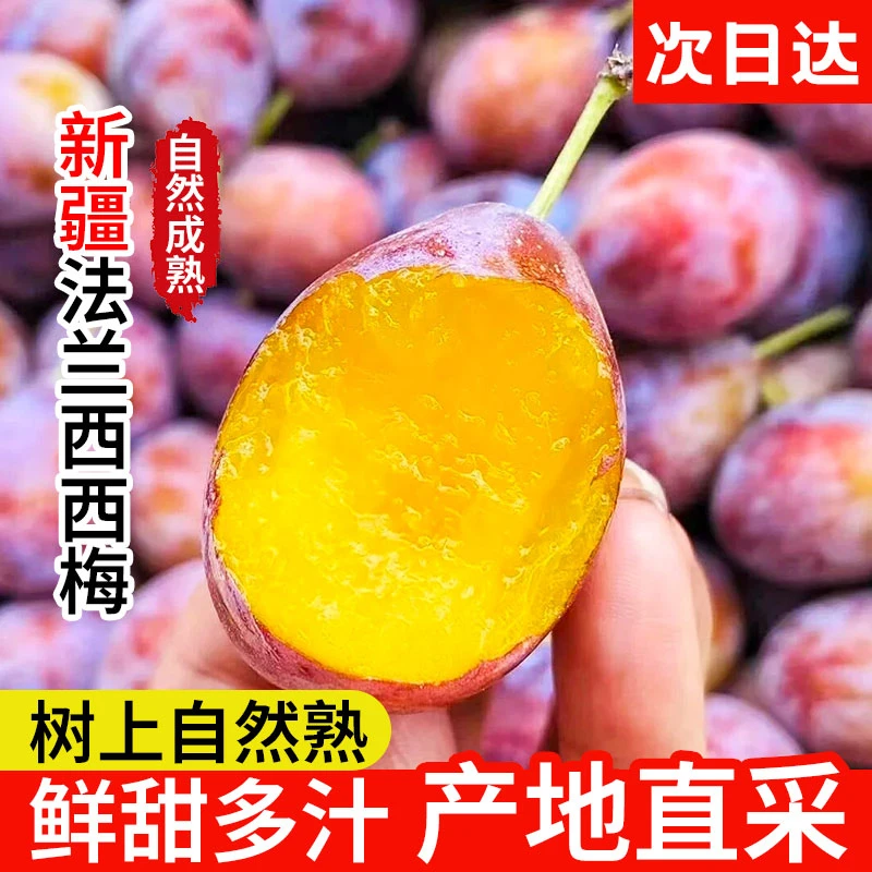 Z1现货明日达【基地直采】新疆西梅新鲜水果喀什法兰西西梅伽师西梅脆甜多汁新鲜应季水果新疆维吾尔自治区