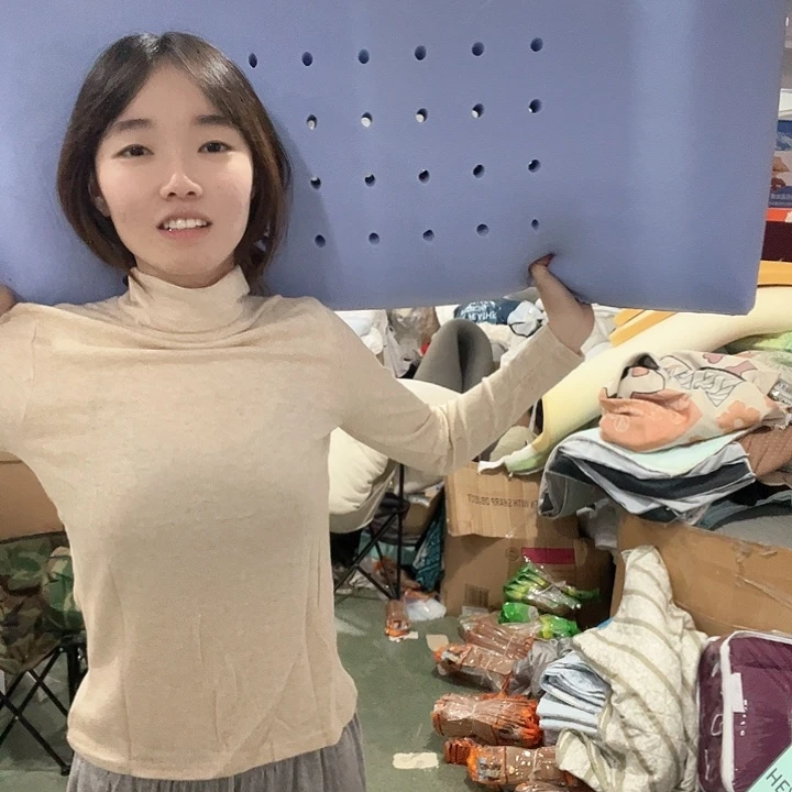 聚酯纤维蓝色洞洞双人记忆棉枕芯大号