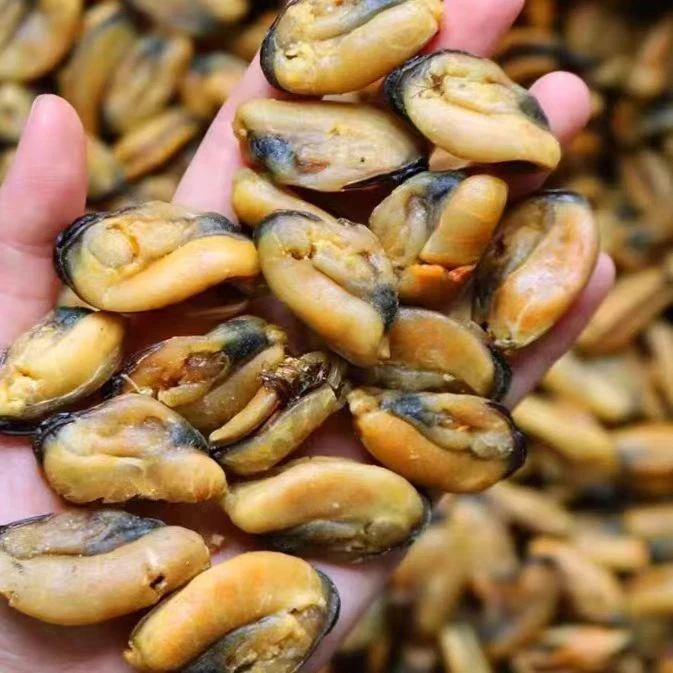 北海野生批发淡菜干海虹干贻贝青口贝壳菜海鲜干货