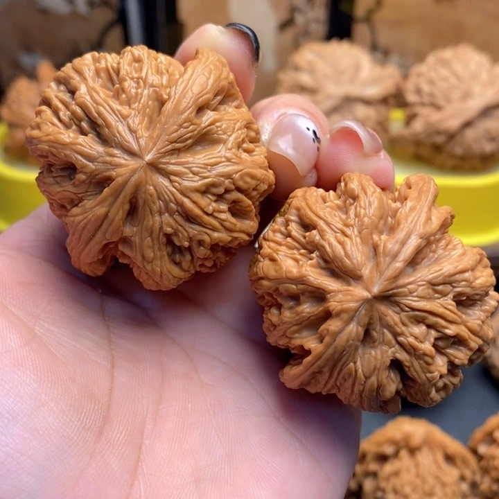 文玩核桃把件539粗筋44全品