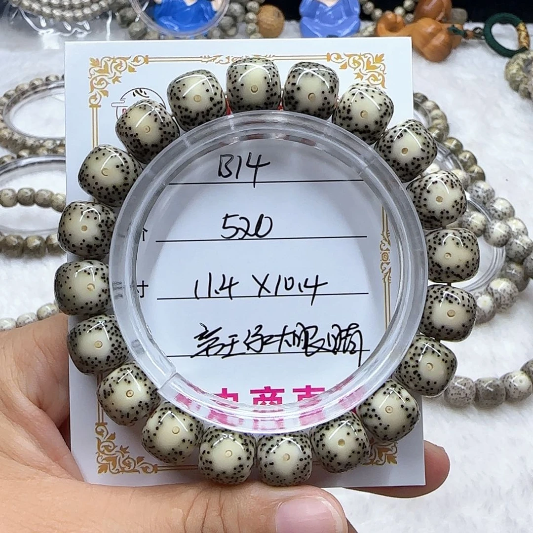 心月星月菩提一号B14