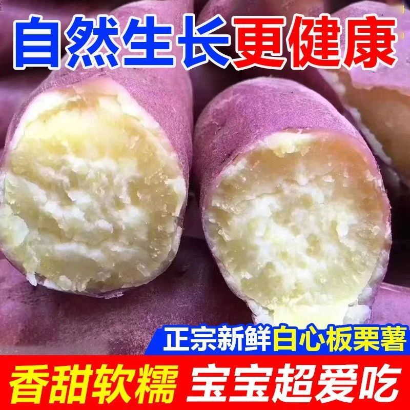 自冉香正宗农家白心红薯新鲜粉糯香甜板栗甜蜜薯烤地瓜专用烤红薯