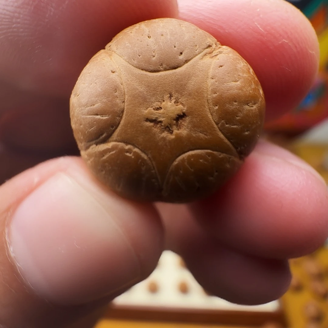 水****18大五星单籽，一物一图