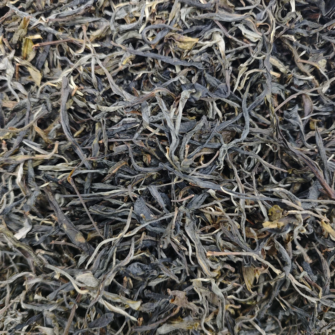 【茶农直供】2025年三家寨古树云南普洱茶 生茶  散茶