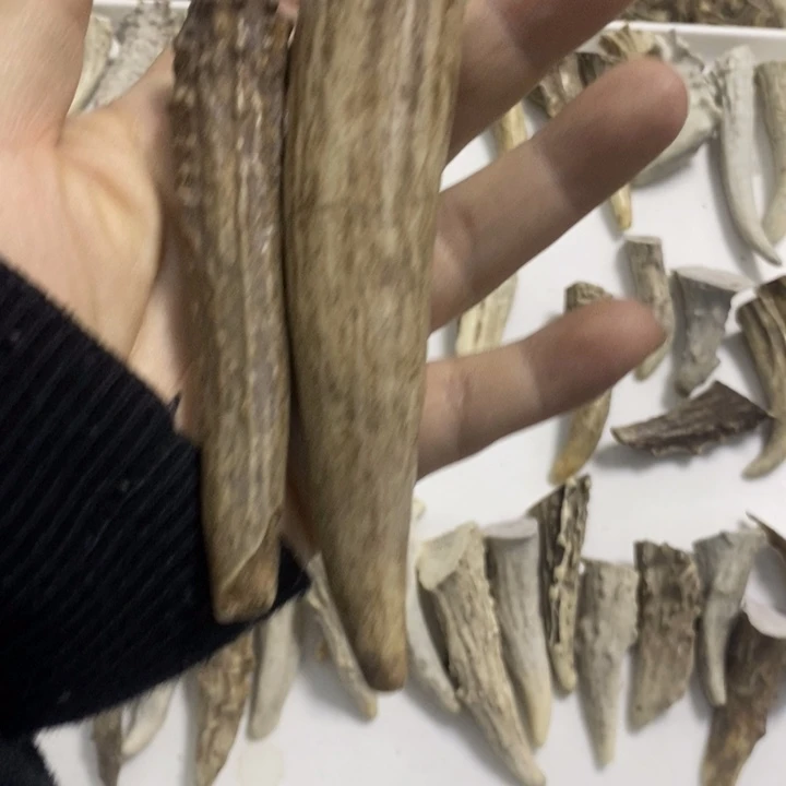 曹****专拍的一组两个40