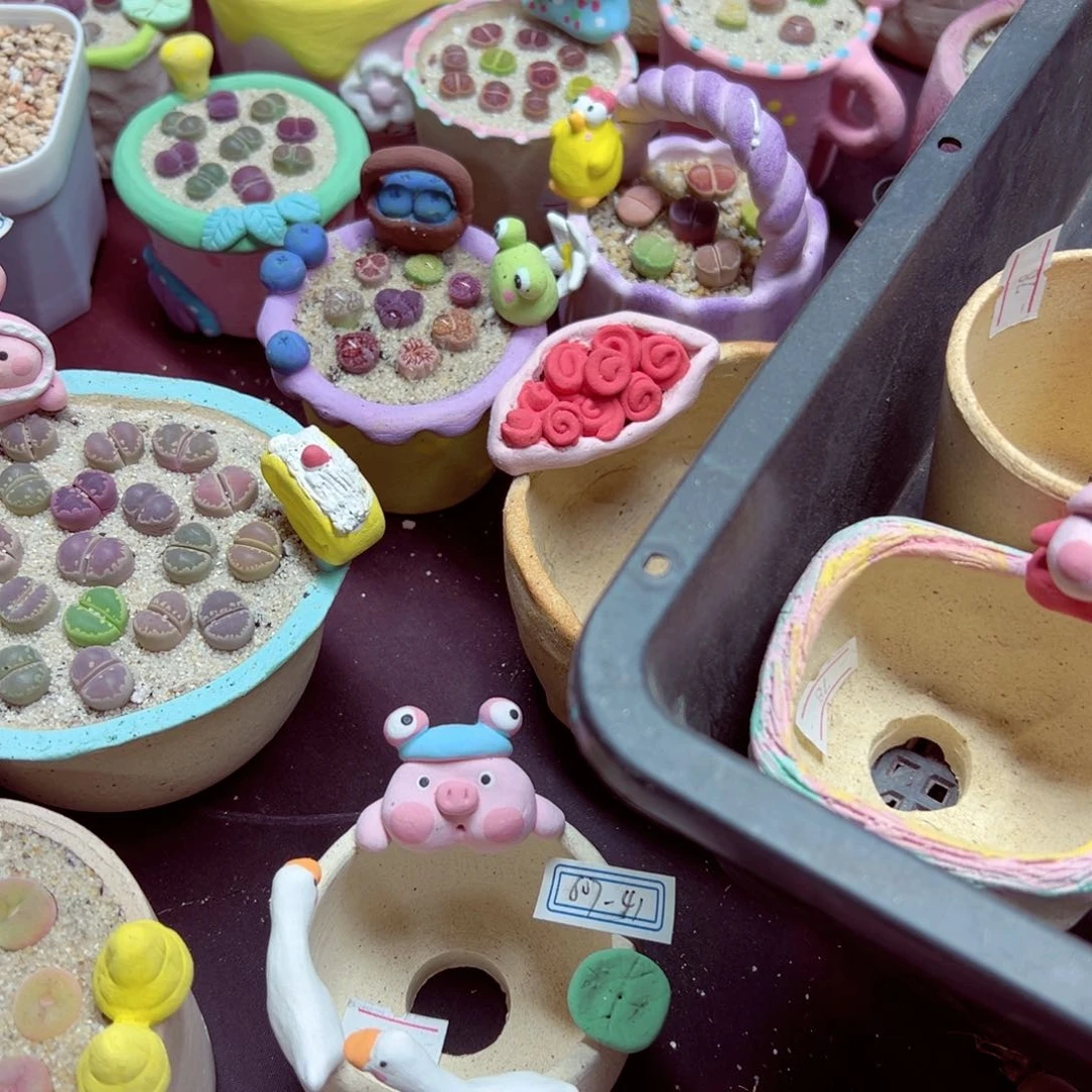 完全开放小*优秀的整盆607-41